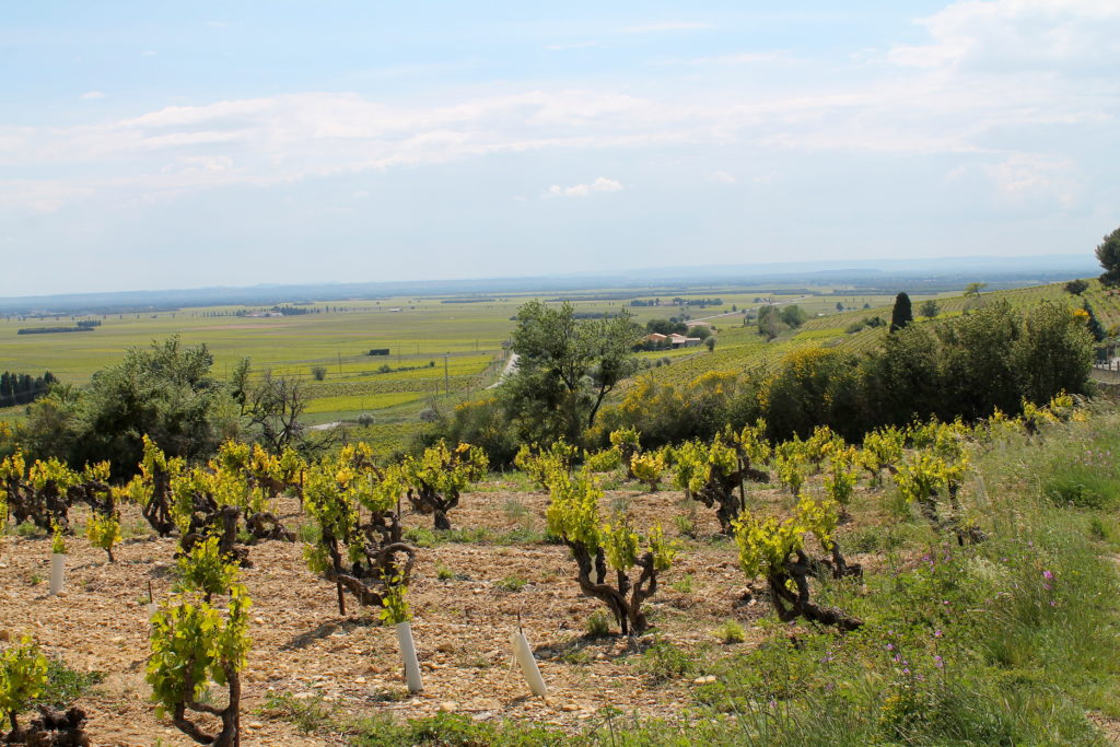 Appellation Rasteau